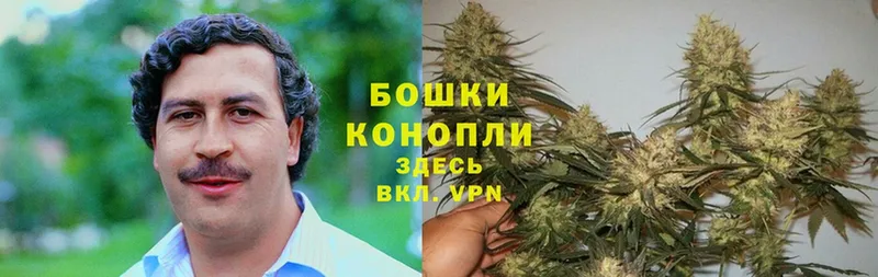 МЕГА ссылка  где можно купить   Брянск  Марихуана SATIVA & INDICA 